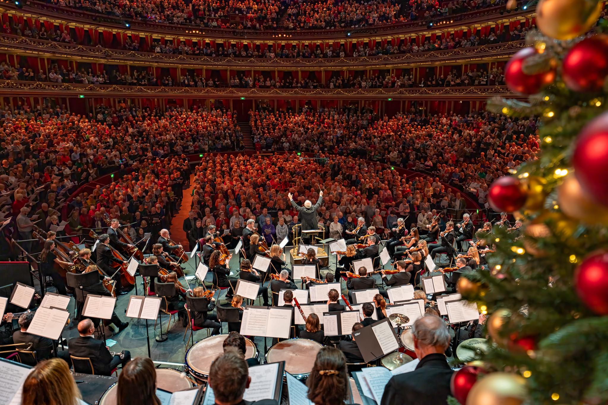 RPO at RAH by Duncan Wood   Dec 2024 8