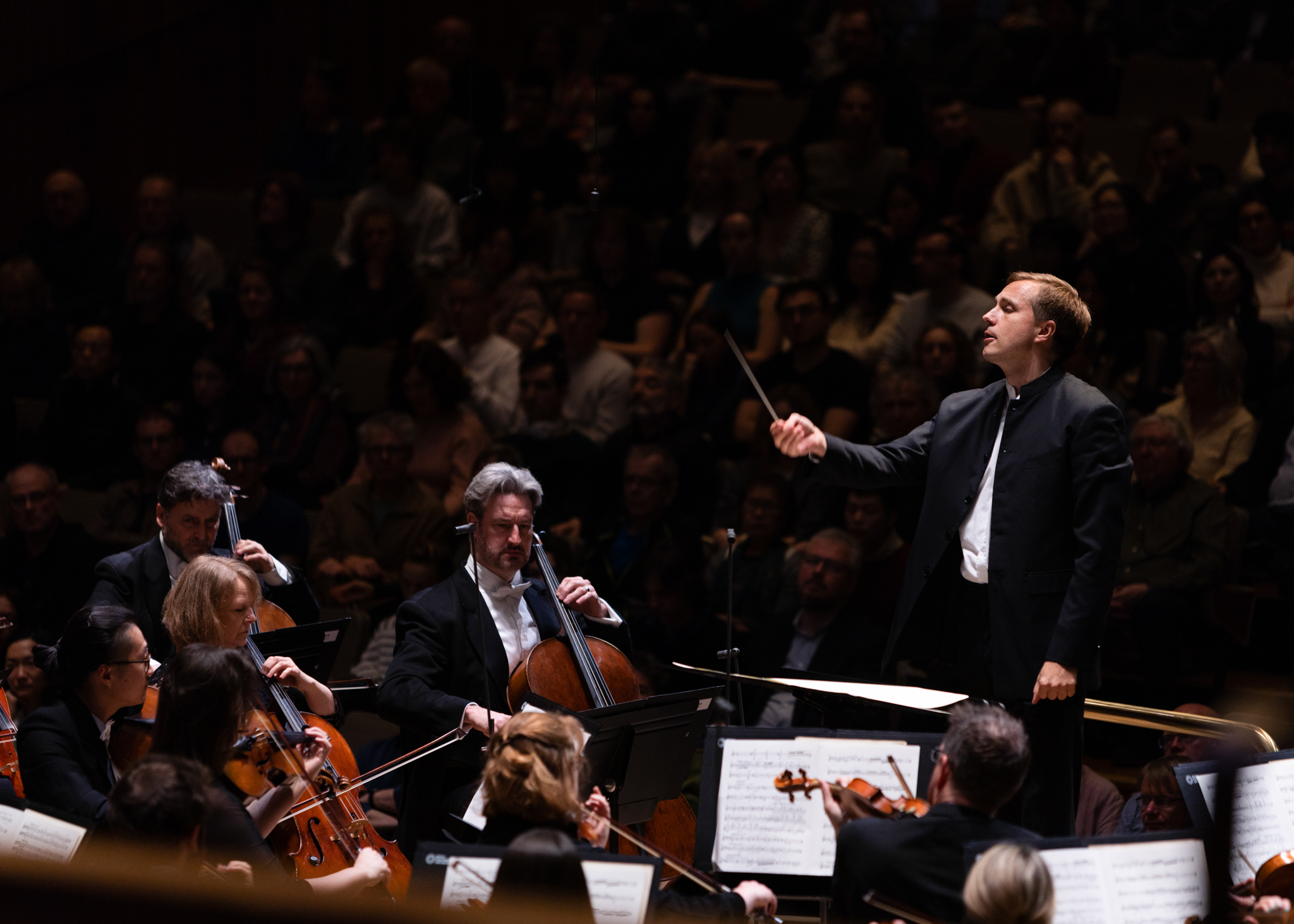 RPOBruceLiu25 c FrancesMarshall8271 copy