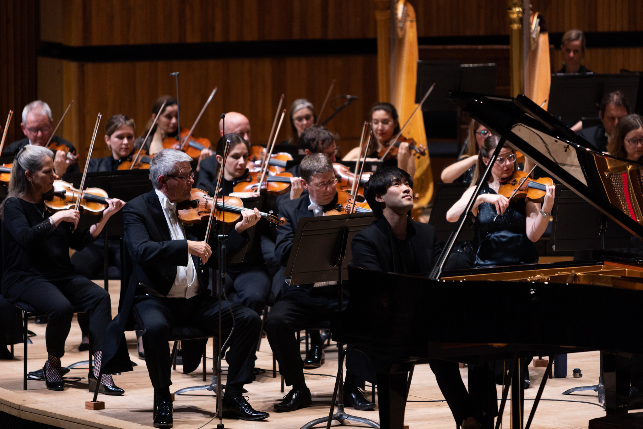 RPOBruceLiu25 c FrancesMarshall8330 copy