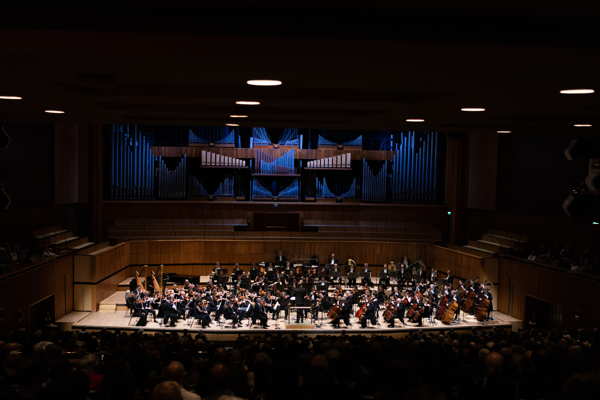 RPOBruceLiu25 c FrancesMarshall8467 copy